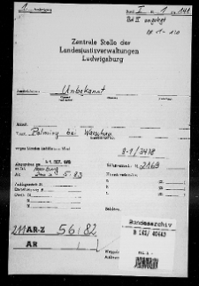 Zabójstwo licznych polskich cywilów w lesie w Palmirach pod Warszawą (Polska) w 1940/41 r. T. 1